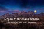 Organ Mountain Fantasia