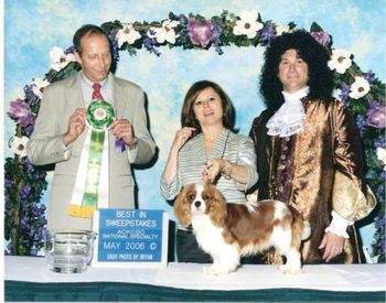 Best Puppy In Sweepstakes - Truluv Kiss N Tell Of Jayba
