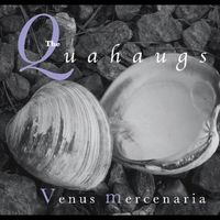 Venus Mercenaria by  T h e  Q u a h a u g s