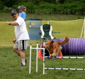 Dixie at Sportsfest 2006, directional commands help keep her turns tight. Photo by Kelly Muller
