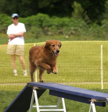 Dixie at Sportsfest 2006. Photo by Kelly Muller.
