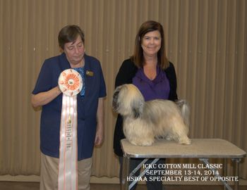 In Atlanta in 2014, Genny wins BOS. She also won a AOM the next day but we did not get her picture taken
