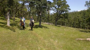 Rancho Toledano Trails
