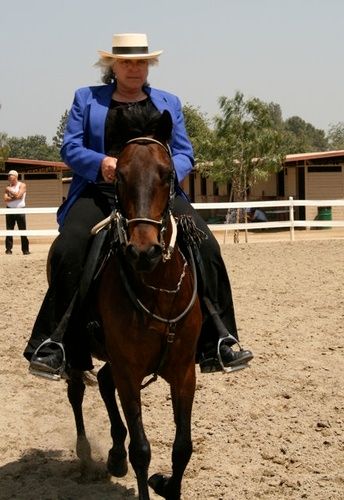 Isabella de Toledano, Fiesta of the Spanish Horse, AO 4 yr pleasure filly
