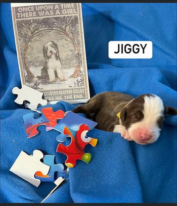 Jiggy
