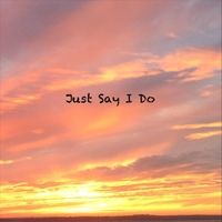 Just Say I Do by Deirdre Broderick & David Spinozza