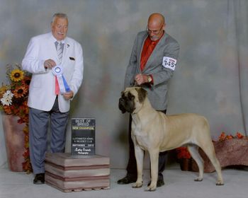 New Canadian Champion - only 16 months old

