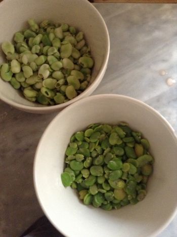 Shucking Fava Beans, Stage 2
