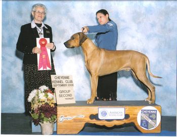 Here is Gane's first Group placing picture! We had a truly thrilling day and he was amazing. He is such a proud dog and I'm such a proud owner. I'm so lucky to have been the one showing him on that great day. THANK YOU Judge Mrs.Cynthia Sommers!
