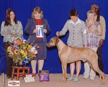 Kadin being shown by Steffie Cheng & winning a 5 pt. major under Carol Makowski at the supported show. Entry of 42!
