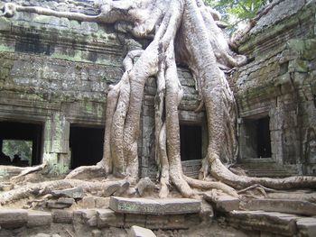 Angkor, Cambodia.
