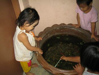 Little ones at the Orphanage looking at gold fish
