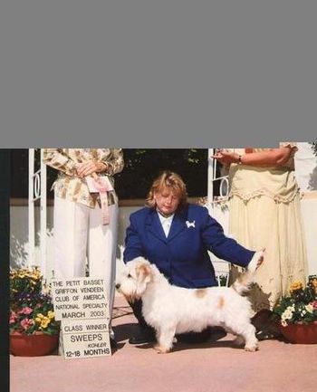 Jingles winning her Sweeps class at the 2003 National Speciality in Mesa, AZ
