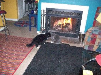 Yankee & Rebel ~ Kissing by the fire at my pad
