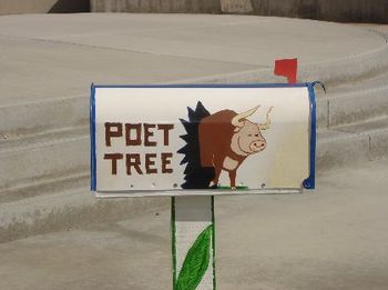 LBJES Poet Tree Mailbox
