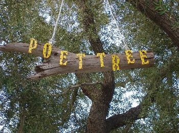 Poet Tree CVES 2007
