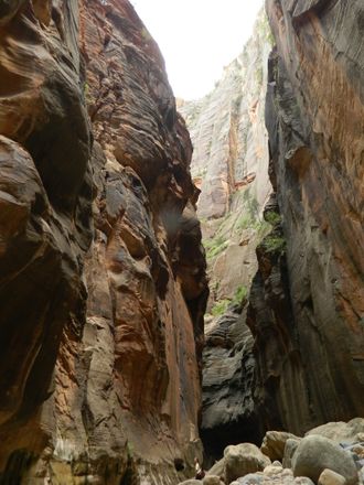 In the Narrows of the Virgin River, Zion