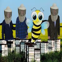 We Need Bees by All of Us solo quartet