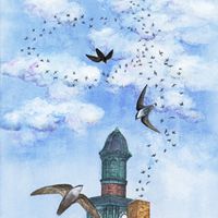 Swifts in the Chimney  by Dave Shiflett