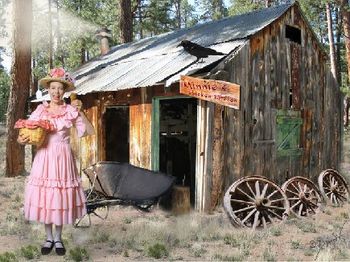 Promotional image of Bethany as Minnie Pearl. Ten different images shot during past road trips combined together in Photoshop CS3 to create the single image. (Copyright jrw 2008)
