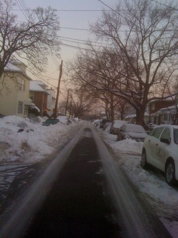 My street in Brooklyn
