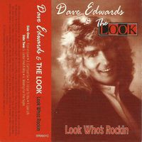 Can't Let Go by Dave Edwards and The Look