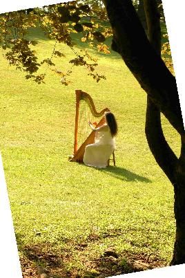 harp and harpist (me, actually!) in a meadow
