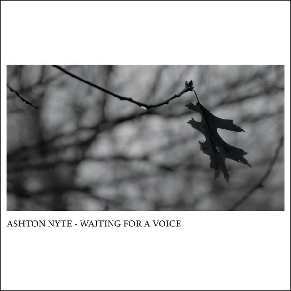 Waiting For A Voice Digital Download (wav file)