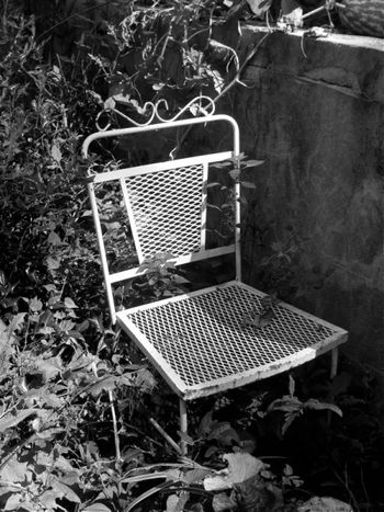I picked up a perfectly good pair of garden chairs from a junk pile on West Outer.
