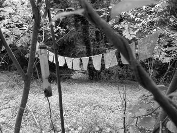 Prayer flags.  I have prayer flags hanging all over my garden.  They're beautiful and I figure prayers in any language cannot hurt.  As a bonus, it seems like they have discouraged the deer this year.
