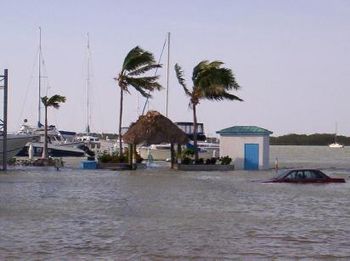 Our Marina during Hurricane Wilma's surge
