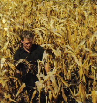 Sean in a cornfield.......one of the photos for the album
