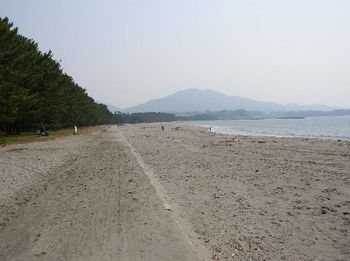Took a morning stroll along the beach, Hirota Bay, Rikuzen Takada
