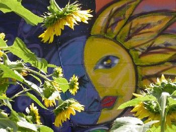 Sunflower Curiosity - TRANSIT ARTS mural by Duarte, flowers by Dominique, photo by Calderone
