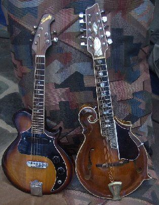 The electric and acoustic mandolins
