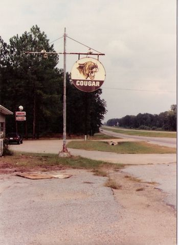 Cougar Sign. Selma, Alabama, c. 1987.
