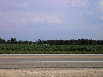 Cotton Field. Near Evergreen, Alabama, 2006.
