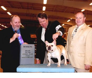 This is CH. HILLBUCKLE'S DEUX CHEVAUX (DOOCEE) WINNING HIS SECOND 4 POINT MAJOR WIN, AT THE WICHITA SHOW, DOOCEE, IS NOW A CHAMPION, HAVING GOTTEN HIS FOURTH MAJOR WIN, AT THE GARDNER, KS. SHOW,5/18/2008, DOOCEE, FINISHED, WITH ALL MAJOR WINS, AND NOTHING LOWER, THAN WINNERS RESERVE, HERE, WITH HIS OWNER JIM GREBE, AND MYSELF. DOOCEE LIVE'S IN THE KC METRO, WITH JIM, AND JAN GREBE, HIS PROUD PARENTS!

