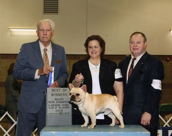 THIS IS CH. HILLBUCKLE'S ROLLING THUNDER, ( THOR) BECOMING A CHAMPION, AT CLAREMORE, OK. 2008, HE IS PAULA'S FIRST CHAMPION, AND WE ARE VERY PROUD OF HIM, GOOD JOB THOR! HE IS DOOCEE'S BROTHER
