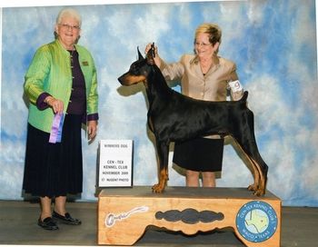 Judge Patricia Laurens awards Winner's Dog for 1 point. Cen Tex Kennel Club on 11/21/09
