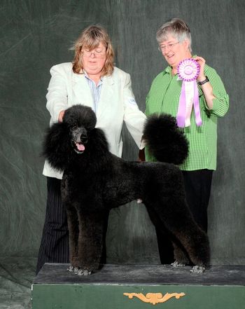 UKC Reserve Best in Multi Breed Show

