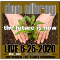 The Future Is Now (Live) by Don Elbreg - © 2020/2000 Blizzard of '78 Publishing (BMI)