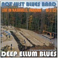 Deep Ellum Blues (Live) by Not Just Blues Band - © 2022 Blizzard of '78 Publishing (BMI)