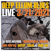 Deep Ellum Blues - LIVE @ Davlan Park by Don Elbreg - © 2021 Blizzard of '78 Publishing (BMI)