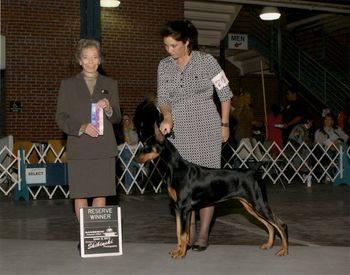Sho Me's Queen of Diamonds with Breeder Tami Lane. 1st show.
