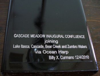 Cascade Detail, Mixed Media, Billy X.
