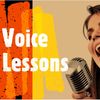 Voice Lesson (45 minutes)