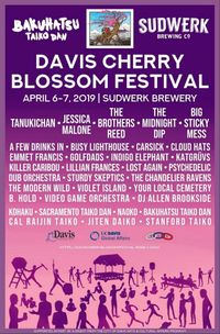 katgrüvs LIVE at Davis Cherry Blossom Festival 2019