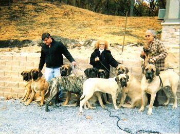 Our Dogs with Barbara and Allyn (Dena's Mom and Dad)
