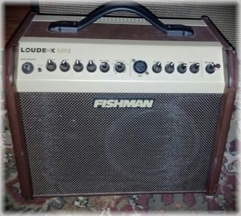 Fishman Loud Box Mini, I use this for Acoustic Gigs, mostly to control how I hear myself. This amp is small, but powerful and sounds great
